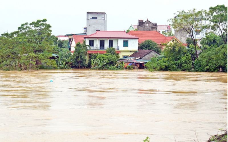 Tập trung triển khai các biện pháp nhanh chóng phục hồi sản xuất nông nghiệp sau bão số 3 và mưa lũ